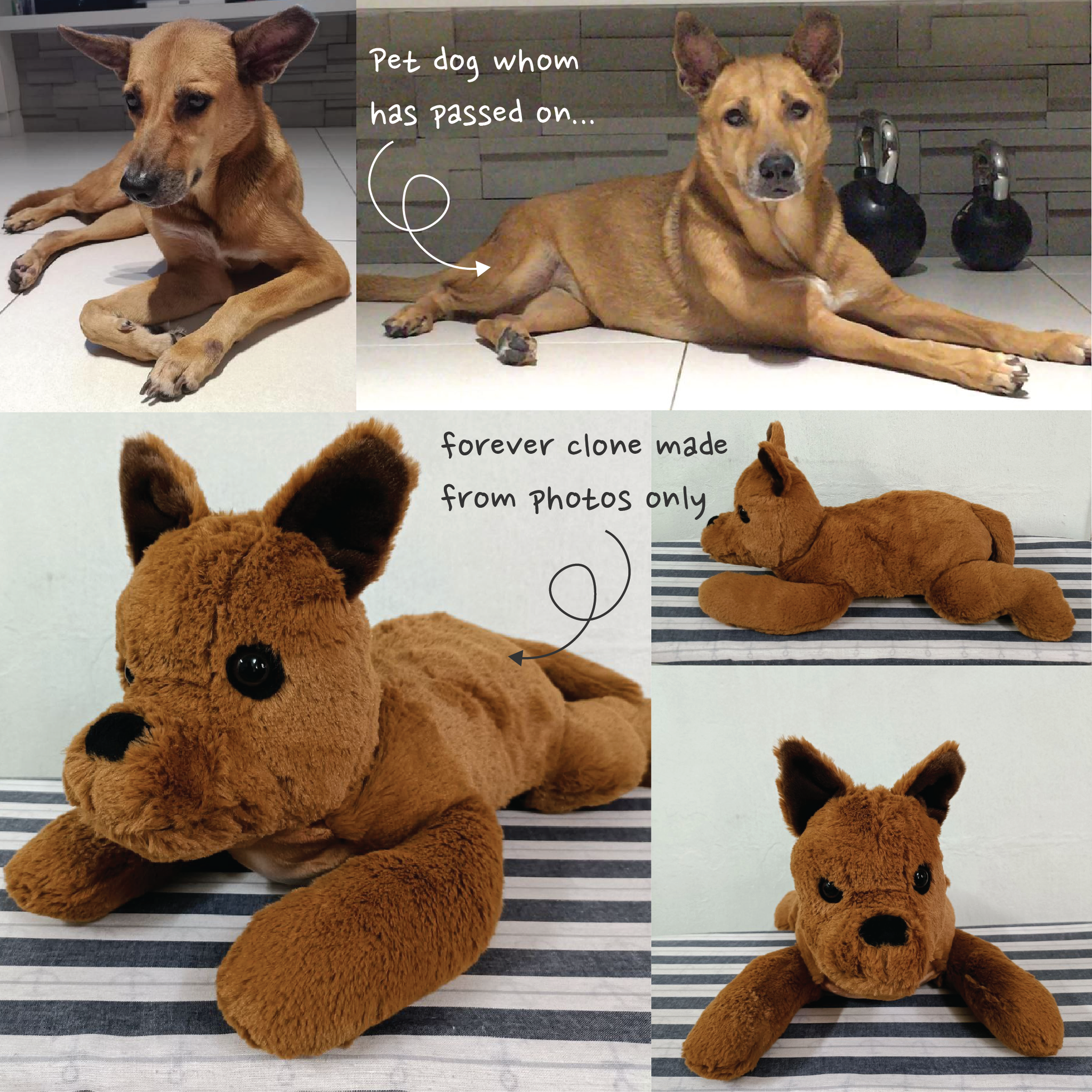 Dog sale toy samples